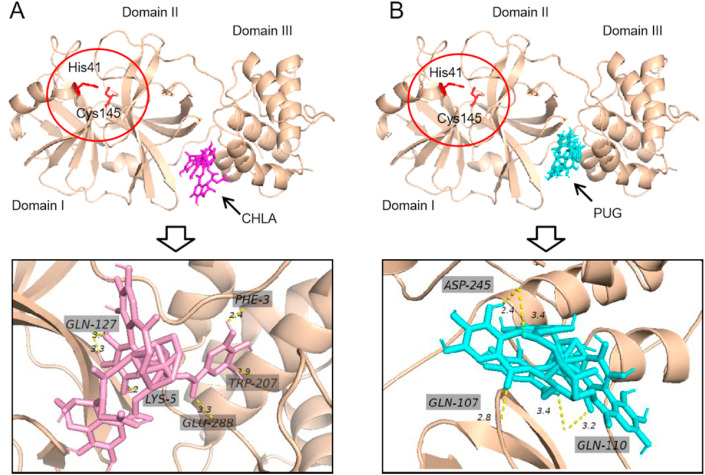 Fig. 6