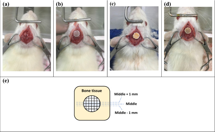 Fig. 13