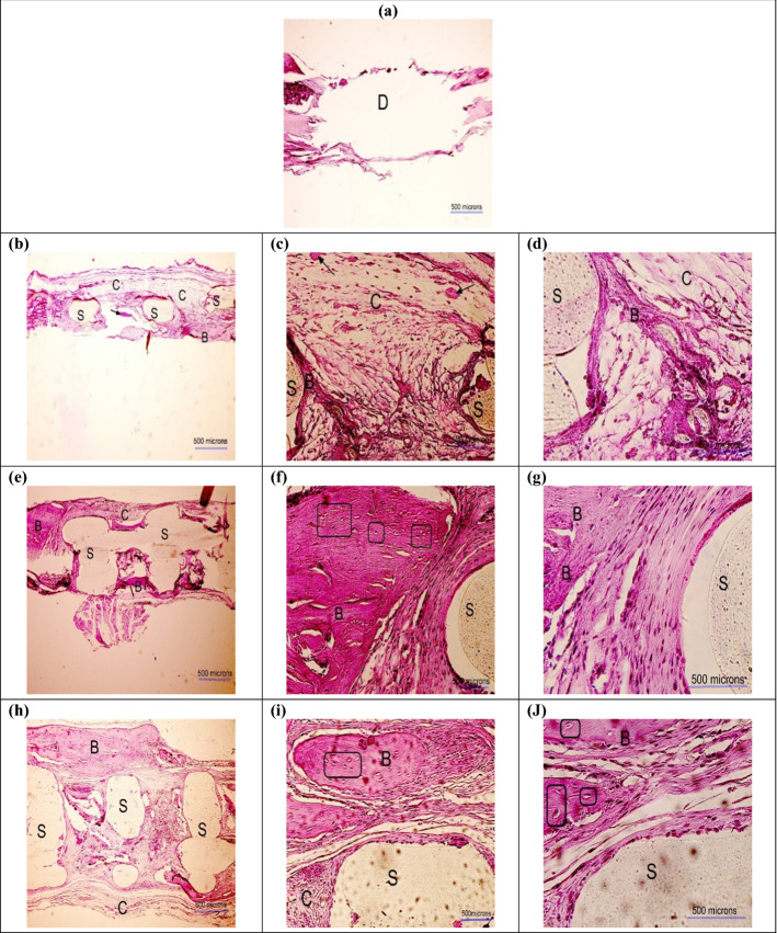 Fig. 10