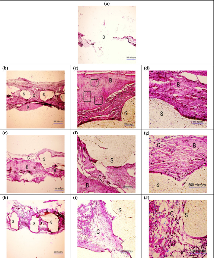 Fig. 11