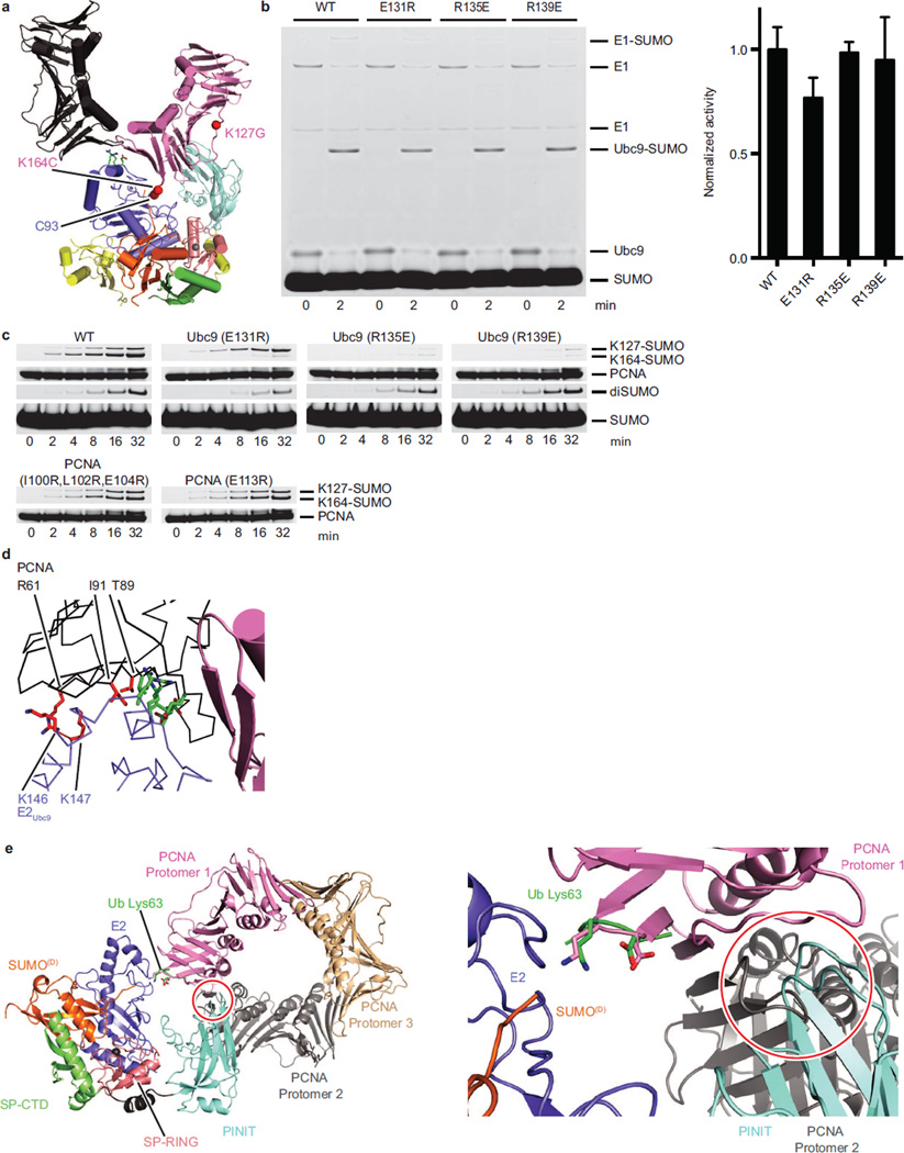 Extended Data Figure 6