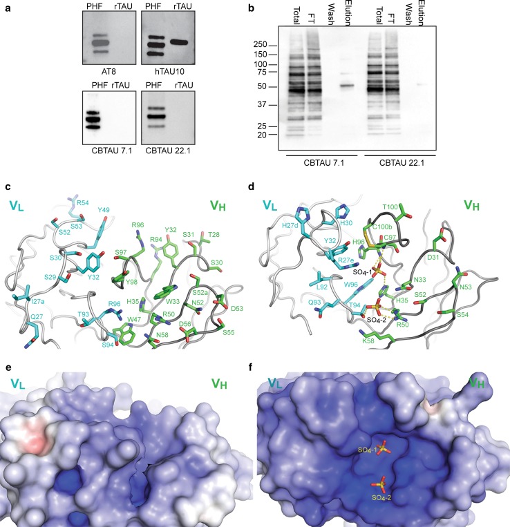 Fig. 4