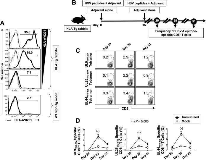 FIG 2