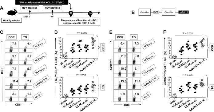 FIG 3