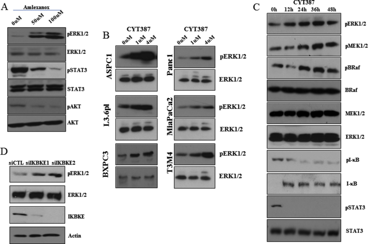 Supplementary Figure 4