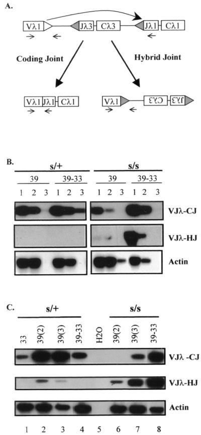 FIG. 3