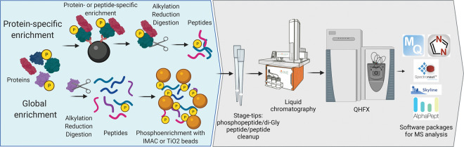 Figure 2.