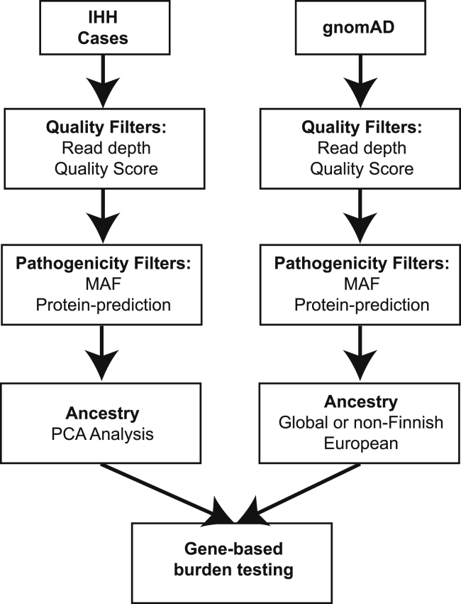 Figure 1