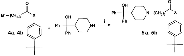 Scheme 5