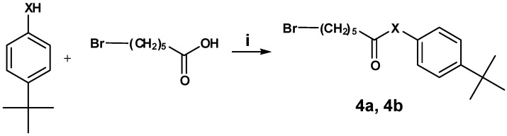 Scheme 4