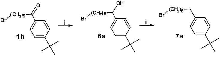 Scheme 6