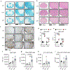 Extended Data Fig. 9|