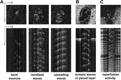 FIGURE 4