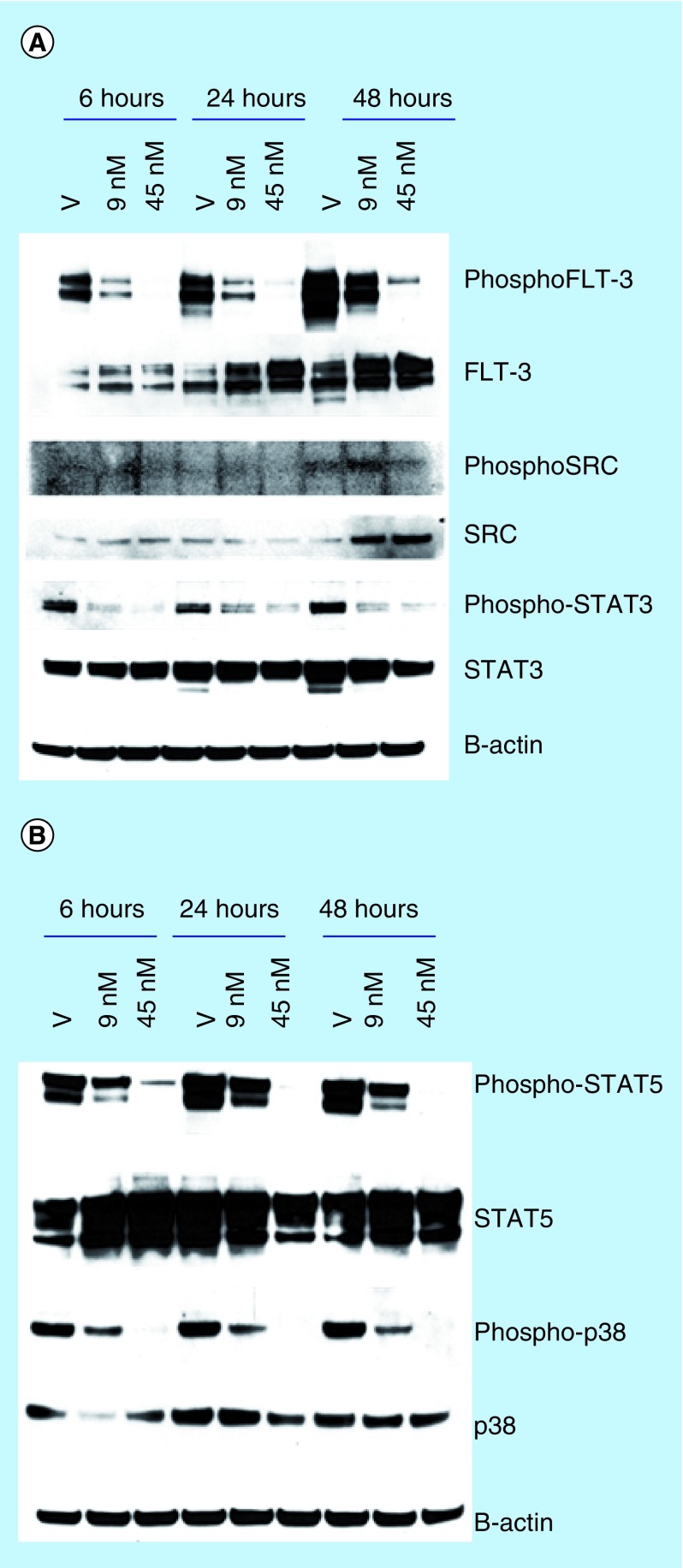 Figure 11. 