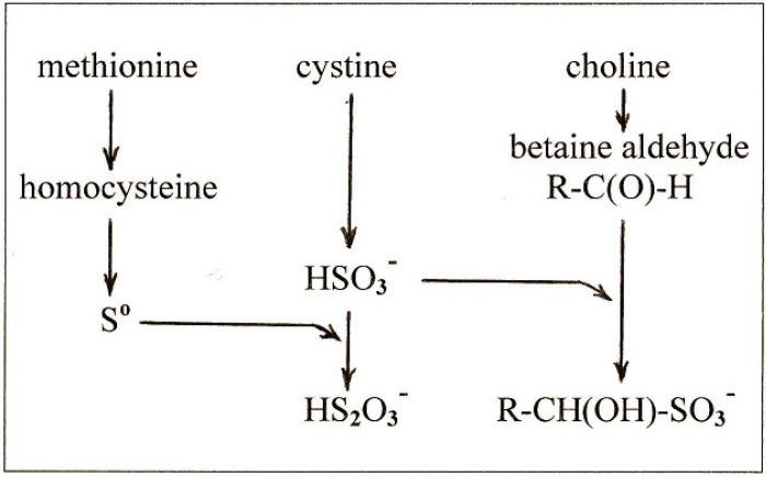 Scheme 2