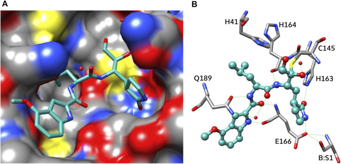 FIGURE 6