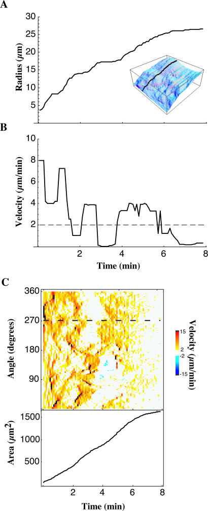 FIGURE 2