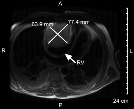 Fig. 4.