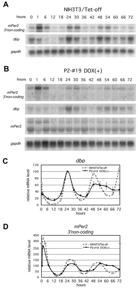 FIG. 7.