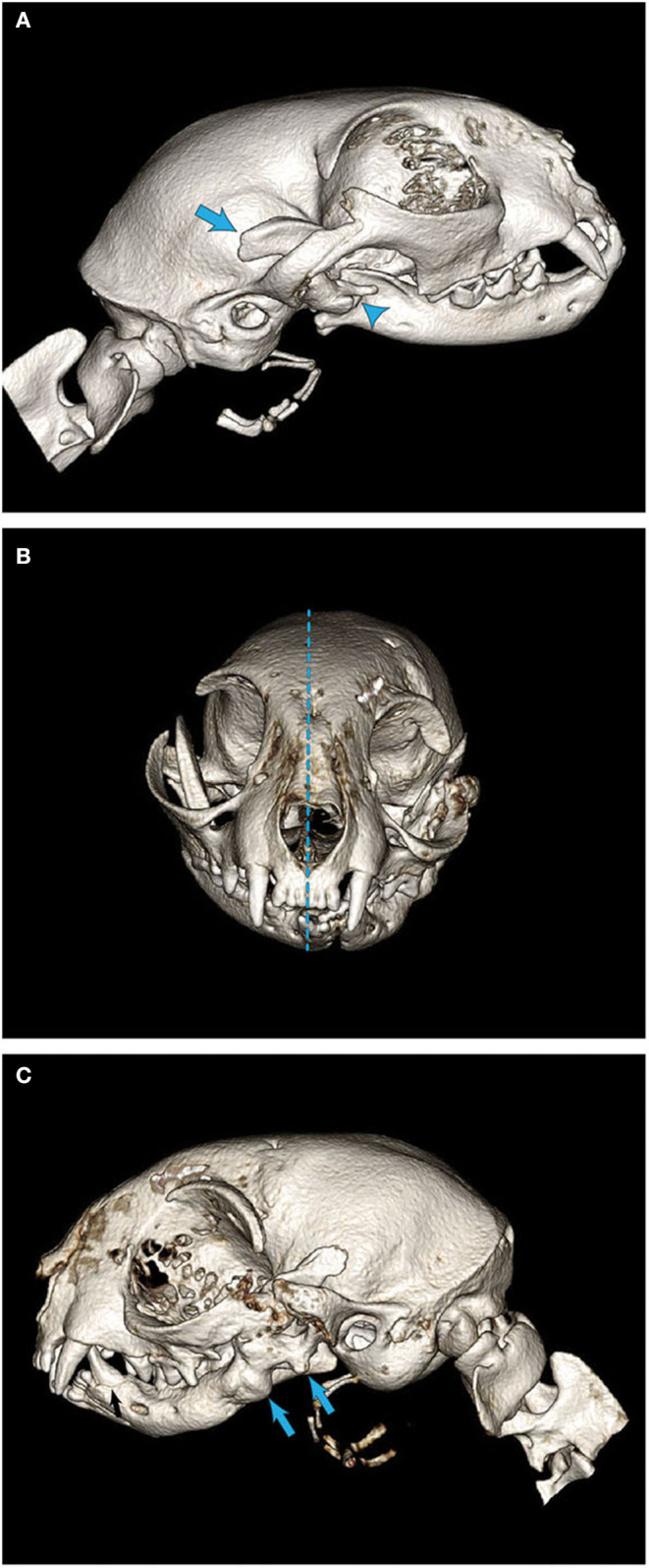 Figure 4