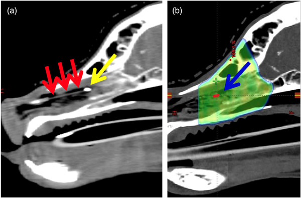 FIGURE 6