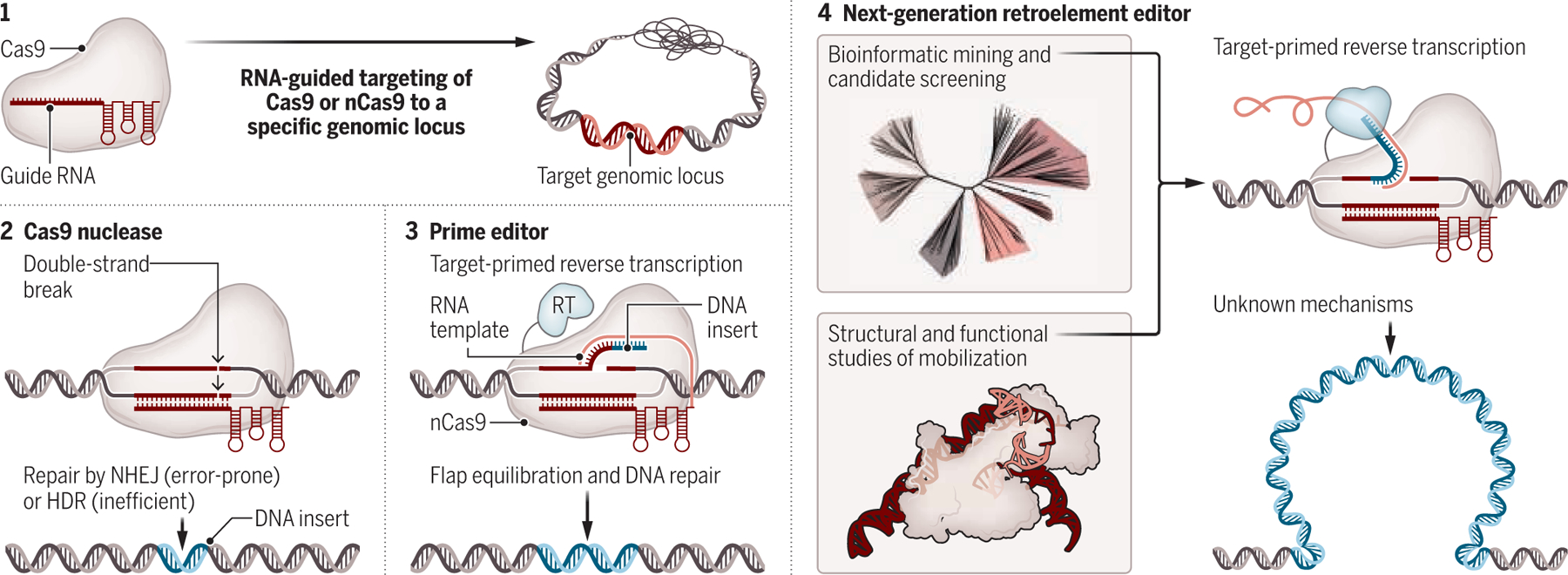 A path to retroelement-based programmable gene insertion