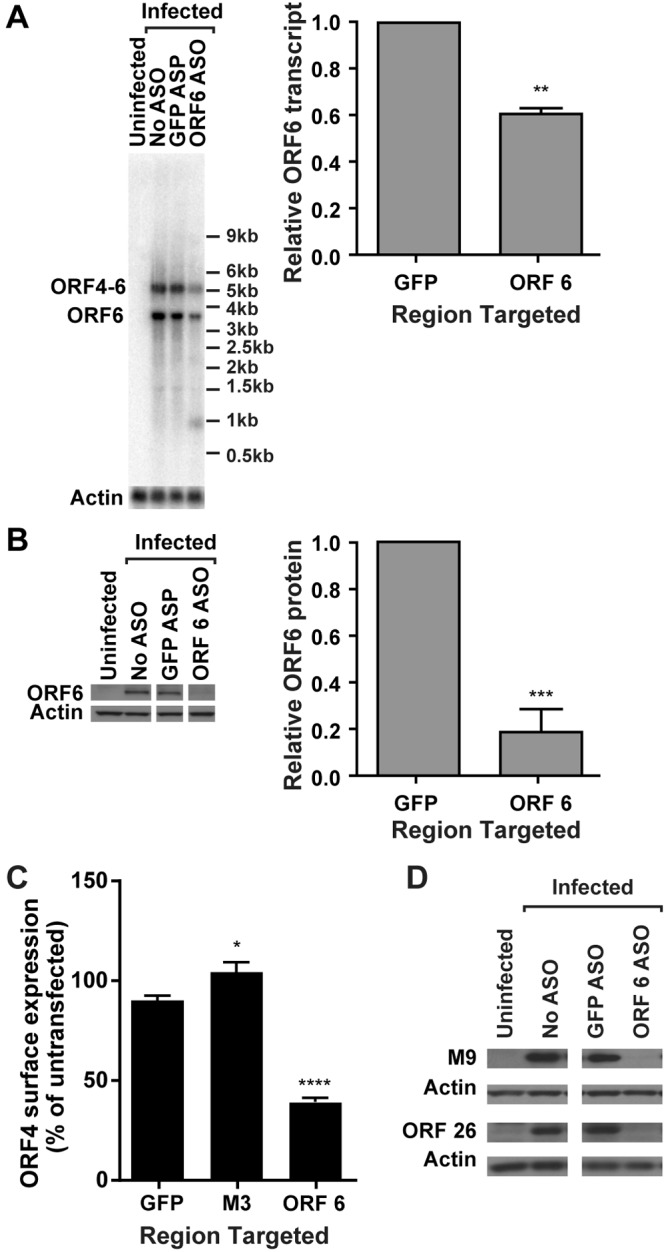 FIG 1 