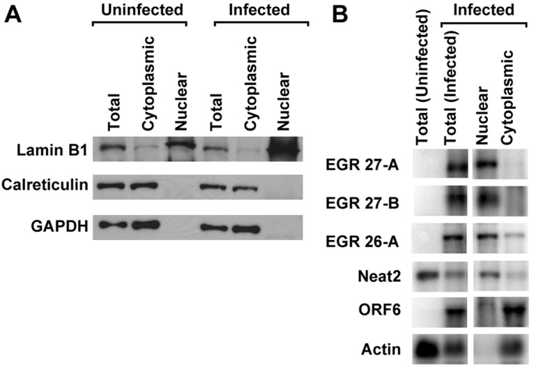 FIG 4 