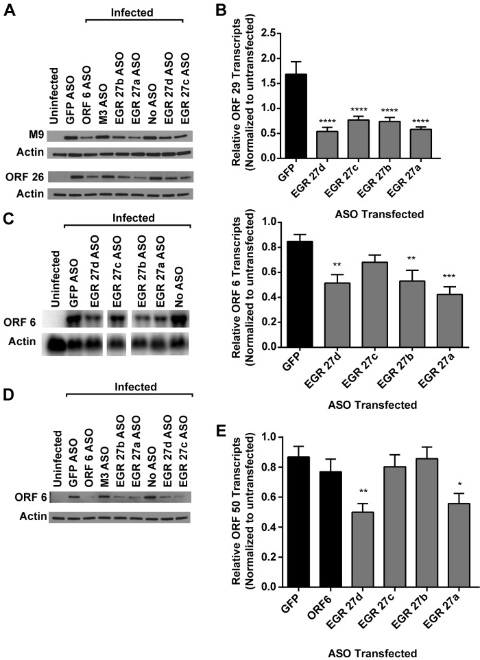 FIG 6 