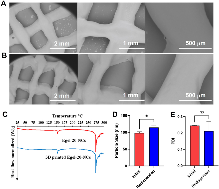 Fig. 10