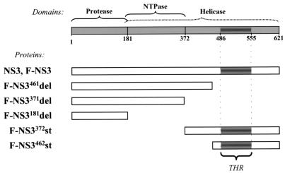 FIG. 7.