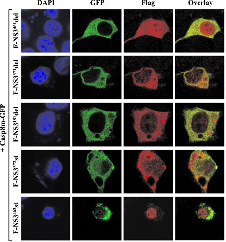 FIG. 9.