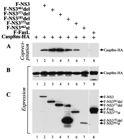 FIG. 8.