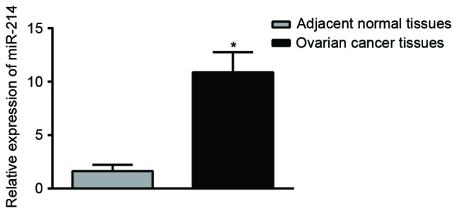 Figure 7.