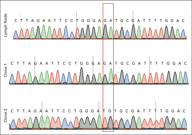 Fig A1.