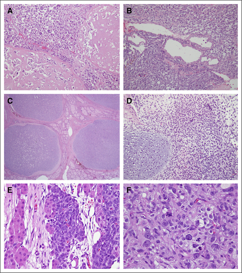 Fig 1.