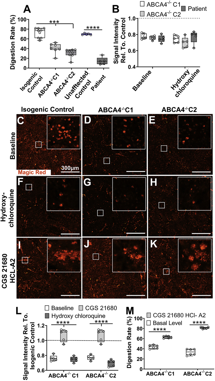 Figure 4