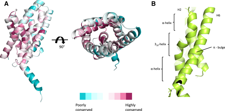 Figure 3