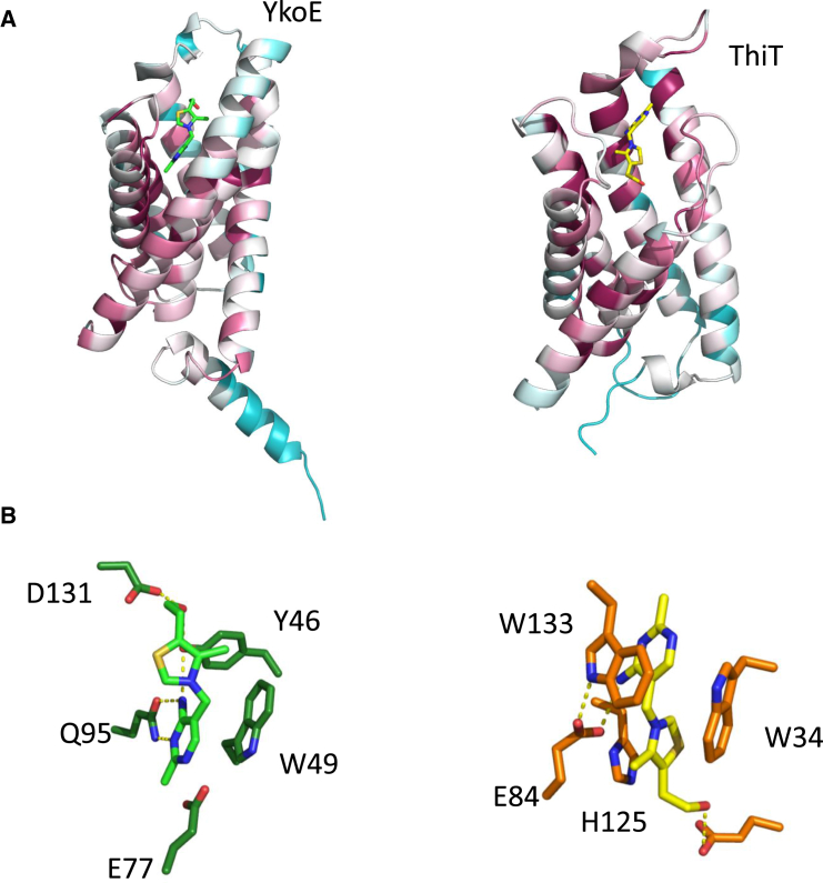 Figure 5