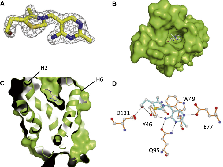 Figure 4