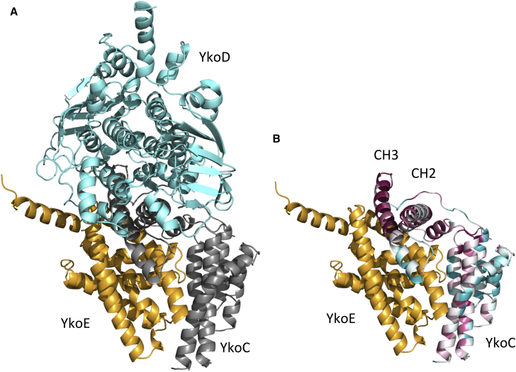 Figure 7