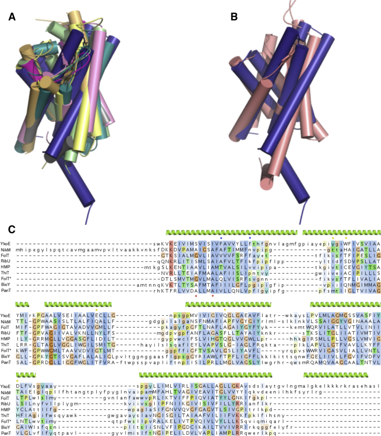 Figure 2