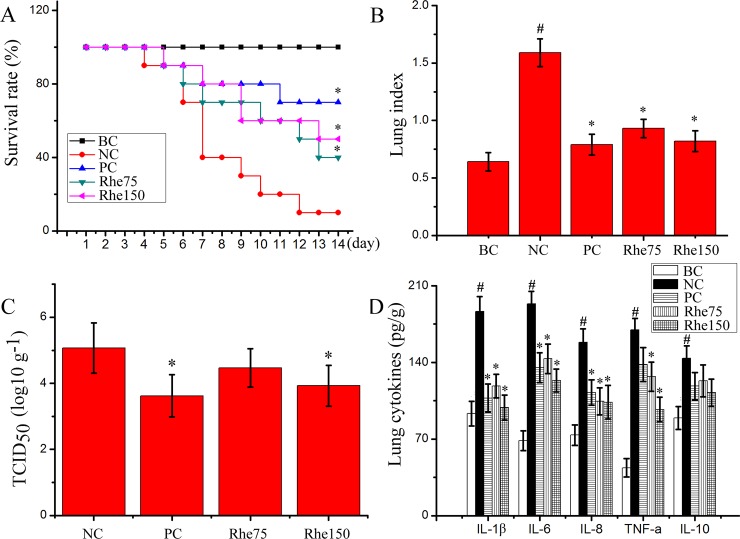 Fig 6