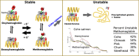 Image, graphical abstract