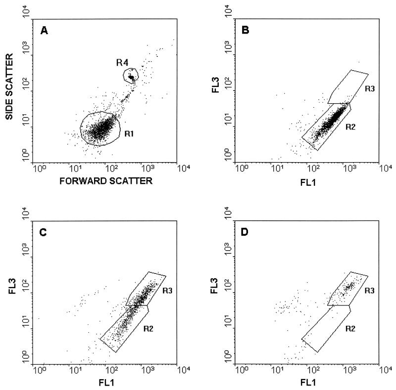 FIG. 1