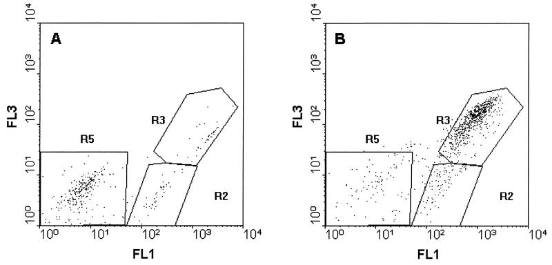 FIG. 3