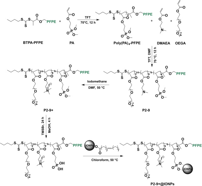 Scheme 2