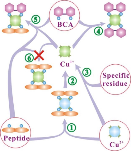 Fig. (6)