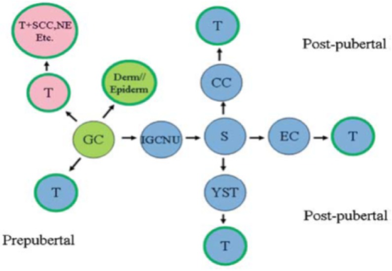 Figure 1: