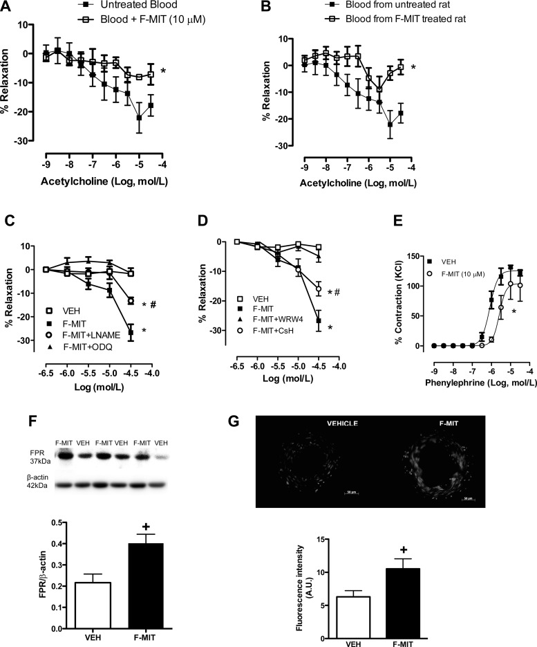 Fig. 6.